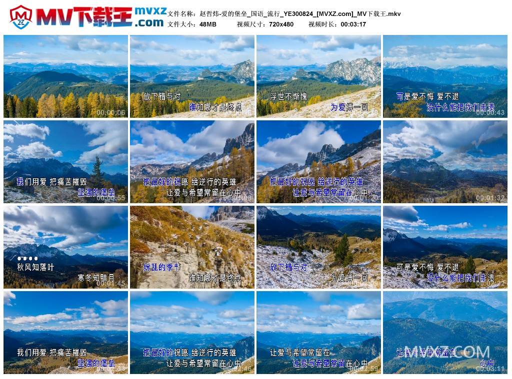 赵哲炜-爱的堡垒_国语_流行_YE300824